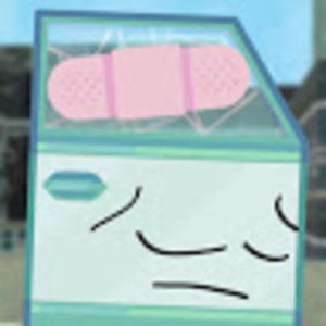 Meet your Posher, Leah